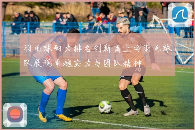 羽毛球耐力排名创新高上海羽毛球队展现卓越实力与团队精神