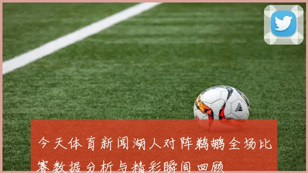 今天体育新闻湖人对阵鹈鹕全场比赛数据分析与精彩瞬间回顾