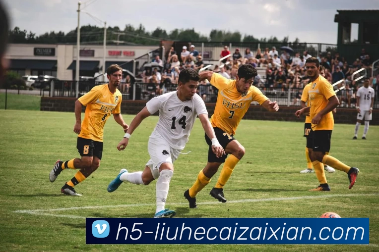 在线六合彩平台生态图